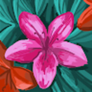 Meet your Posher, Delilah